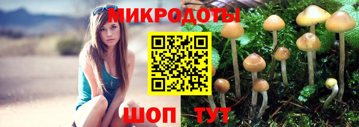 Галлюциногенные грибы Cubensis Южно-Сахалинск